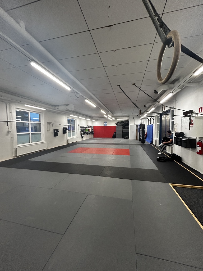 Boxing lesson in Helsinki