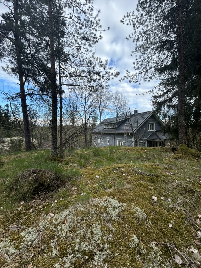 Kuninkaanportti nature walk